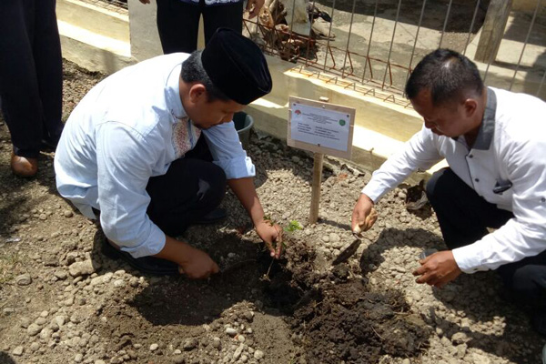 Gerakan Penghijauan, Warga Tanam Pohon Serentak di Bugis Tua