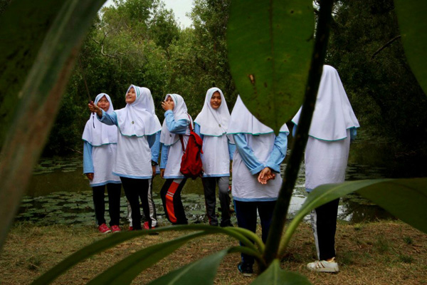 Hutan Kayu Putih, Tempat Wisata Baru di Indramayu