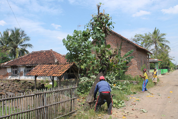 Tukang Tebang Pohon Lagi Banyak Orderan