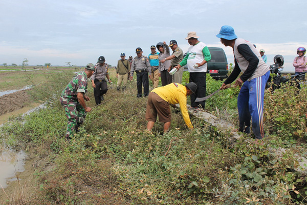 Distanak Ajak Masyarakat Indramayu Perang Lawan Tikus