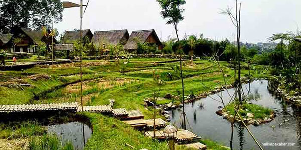 Homestay Desa Wisata buat Kawasan Perbatasan 