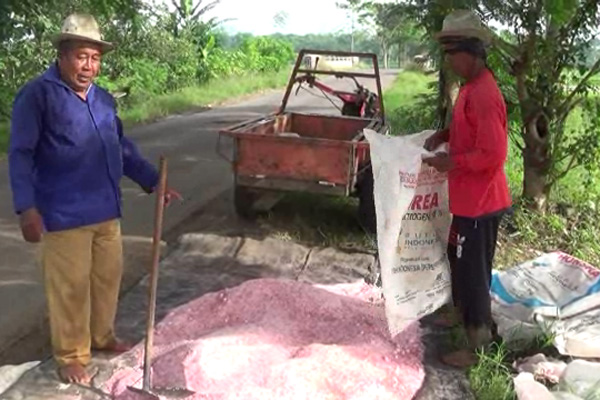 Petani Jatitujuh Cari Pupuk Sampai ke Indramayu