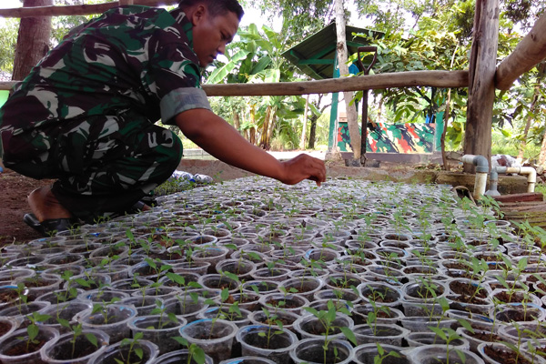 Kendalikan Harga Cabai, Koramil Ligung Ajak Siswa Menanam