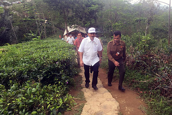 Menpar Tinjau Kebun Teh Penyangga KSPN Borobudur