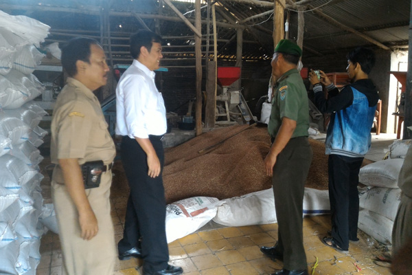 Permintaan Beras Merah Meningkat