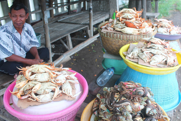 Wow, Harga Rajungan Capai Rp 175 Ribu Per Kilo karena Cuaca Ekstrem