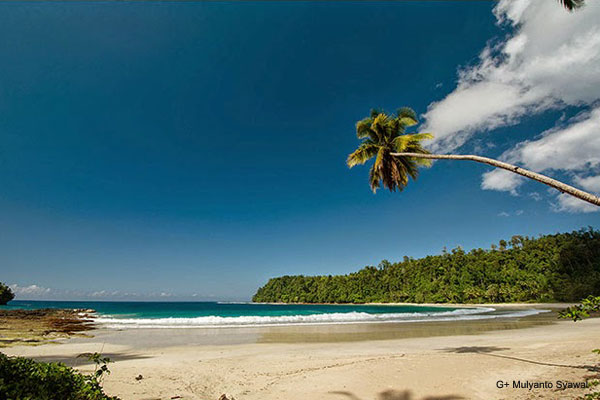 Tanjung Gorango, Keindahan Lain Pulau Morotai