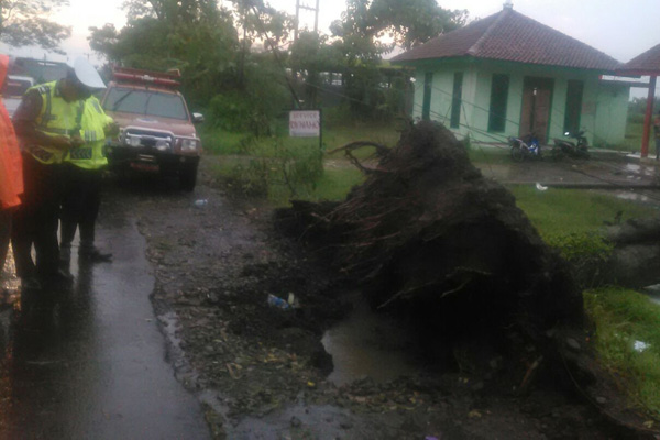 BMKG Ingatkan Warga, Kecepatan Angin di Atas Normal