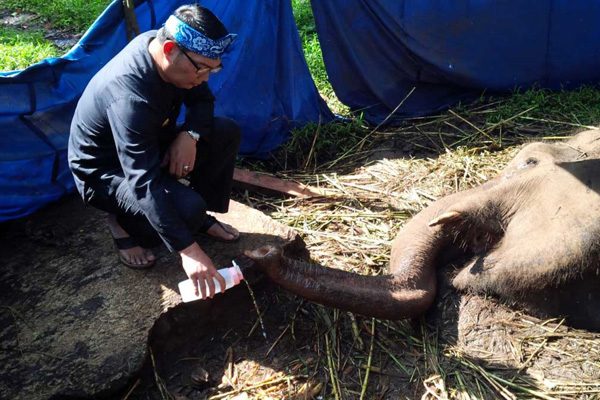 Kondisi Kebun Binatang Bandung Memprihatinkan