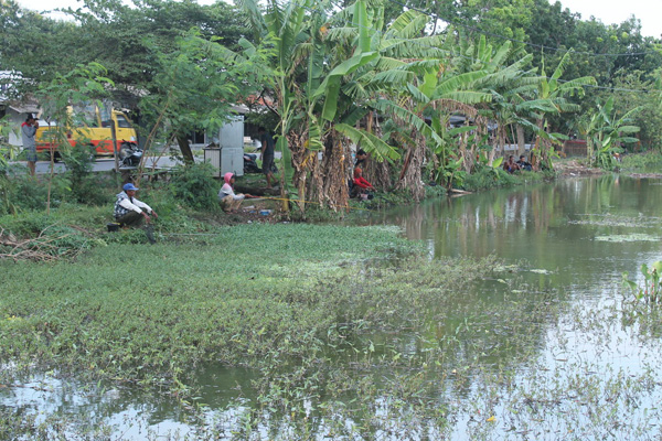 Sudah Sebulan, Lahan Semanggen Terendam