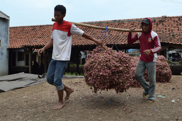 Produksi Menurun, Tapi Harga Bawang Masih Normal