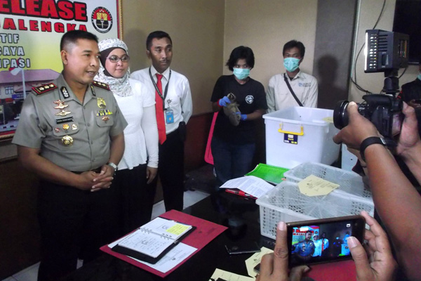 Polisi Tahan Warga Sindangwangi Penjual Kukang Jawa