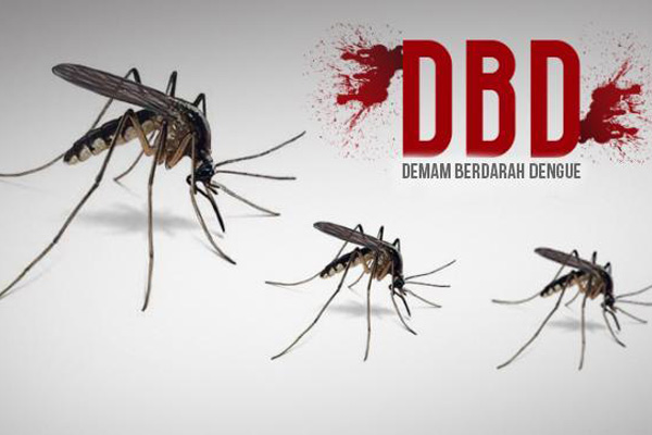 Waspada! DBD Mulai Serang Warga di Kabupaten Cirebon