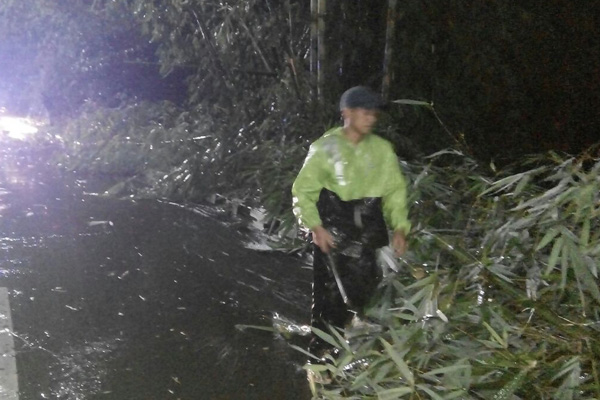 Diterjang Hujan Angin, Rumpun Bambu Roboh Tutup Jalan Cijoho