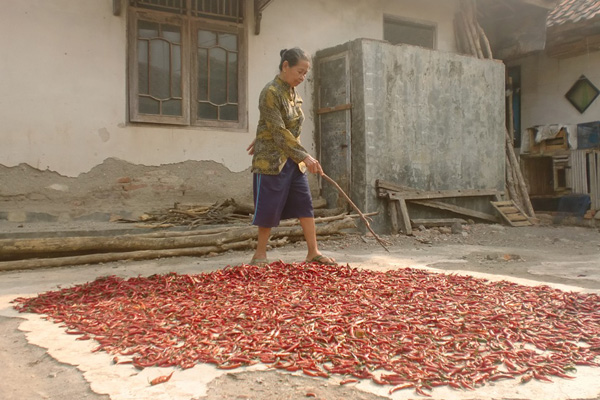 Harga Cabai Rawit Merah Masih Tinggi di Angka Rp180 Ribu/Kg