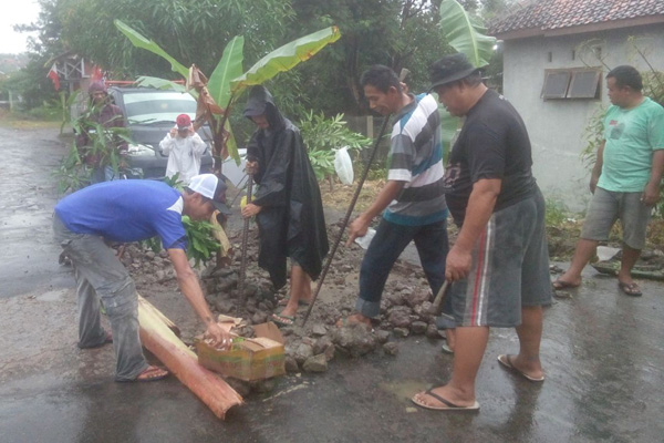 Kesal, Warga Tanam Pohon Pisang di Tengah Jalan