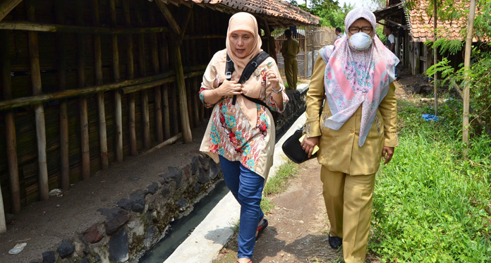 Gawat! Cirebon Endemis Flu Burung, 2 Orang Dirawat