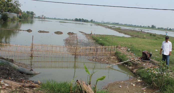 91 Hari Disedot, Banjir di Lahan Persawahan Mulai Surut