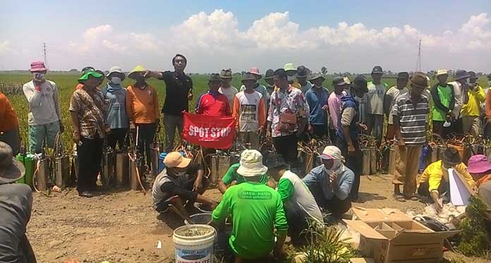 Kelompok Tani Semprot Masal Hama Wereng