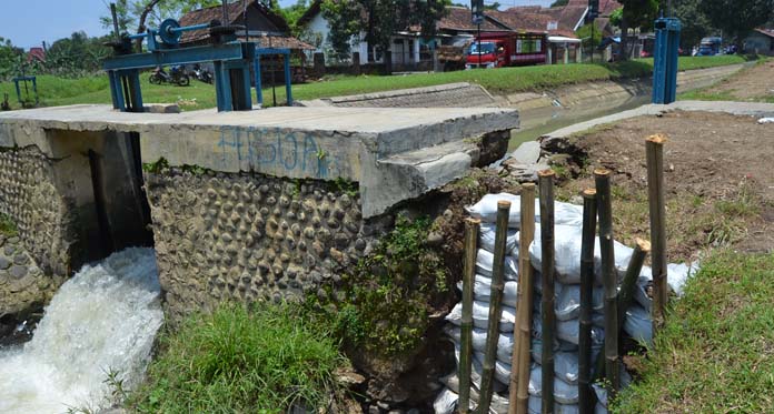 Petani Bawang Babakan Terancam Gagal Panen, Ini Sebabnya