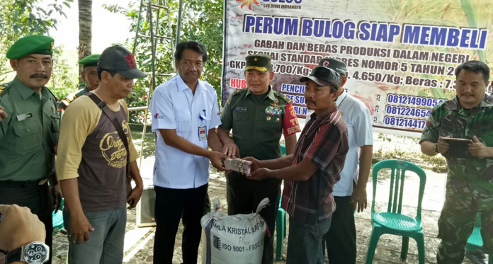 Hindari Tengkulak, TNI Beli Langsung Gabah Petani