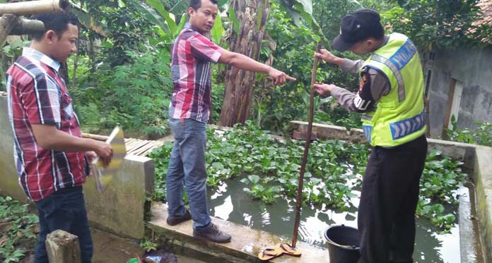 Pulang Mengajar Histeris, Lihat Anaknya Tewas Mengapung di Kolam Ikan