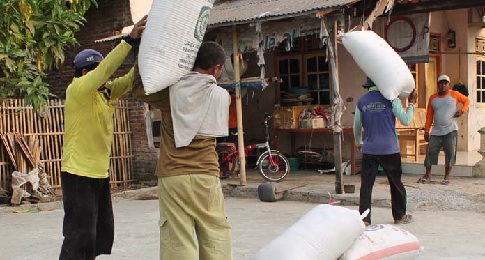 Harga Turun, Petani Simpan Gabah untuk Persiapan Puasa dan Lebaran