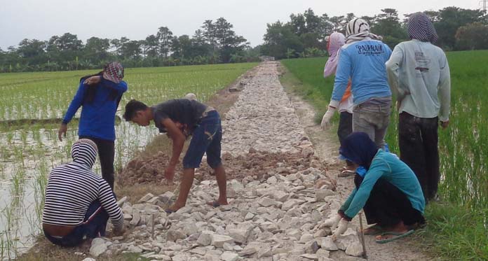 Pengerasan Jalan Usaha Tani Tunjang Aktivitas Petani