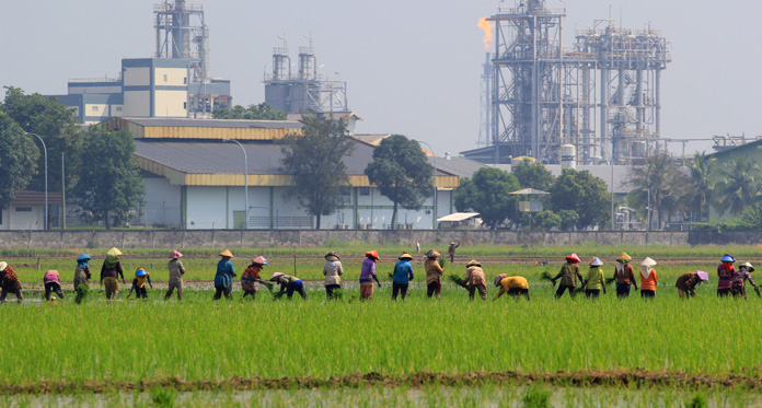 Petani Siaga Satu Hadapi Kekeringan