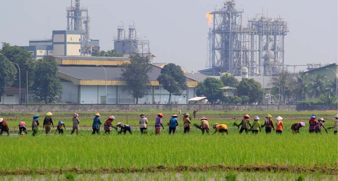 Petani Mulai Khawatir Kesulitan Air