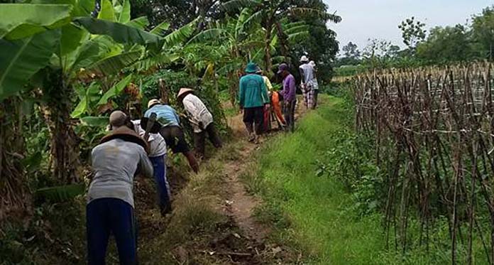 Warga-Pemdes Cibeber Bangun Desa, Kompak Bersih-Bersih Saluran Irigasi