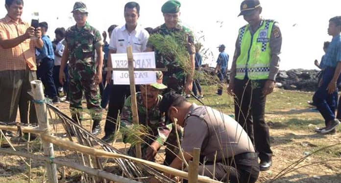 Cegah Abrasi, TNI-Pegiat Lingkungan Tanam Mangrove dan Cemara