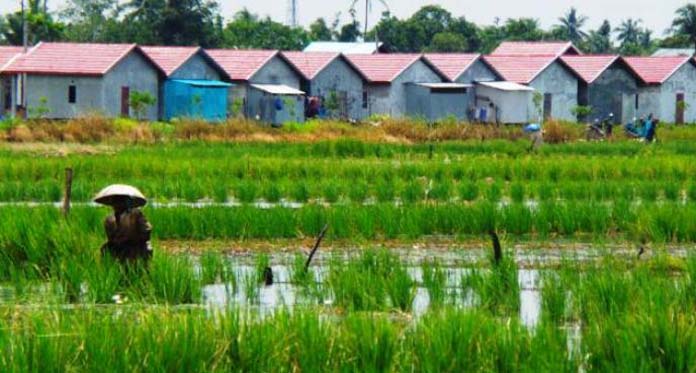 Duh, Lahan Pertanian Kian Menyusut