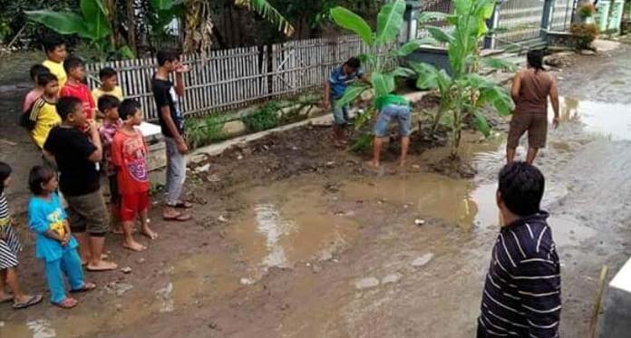 Warga Tanam Pohon Pisang di Jalan Penghubung 2 Kecamatan yang Rusak Parah