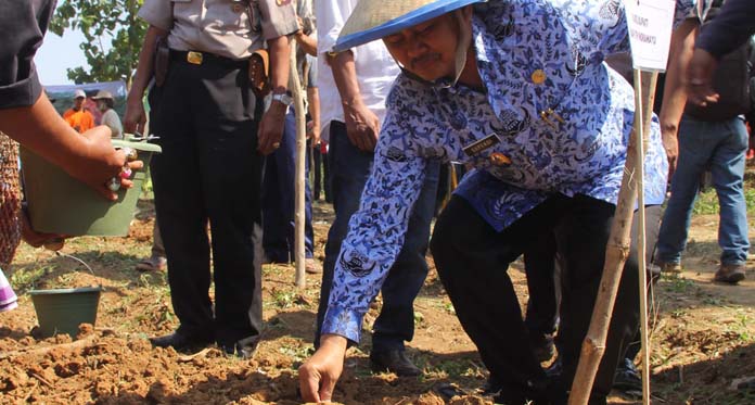 Tanam Kedelai dari APBN, Wabup: Jangan Ada Poktan Siluman