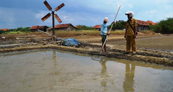 Khawatir Hujan, Petani Garam Was-was Garap Tambak