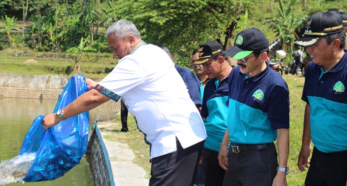 Dukung Apel, Bupati Tebar Puluhan Ribu Benih Ikan