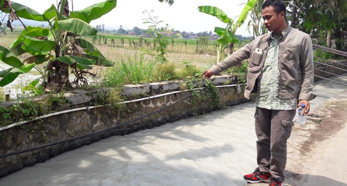 Tercemar Limbah Batu Alam, Ratusan Hektare Sawah Tak Produktif