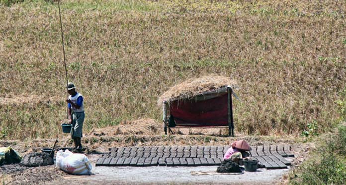 Musim Kemarau Tiba, Begini Petani Menyiasati