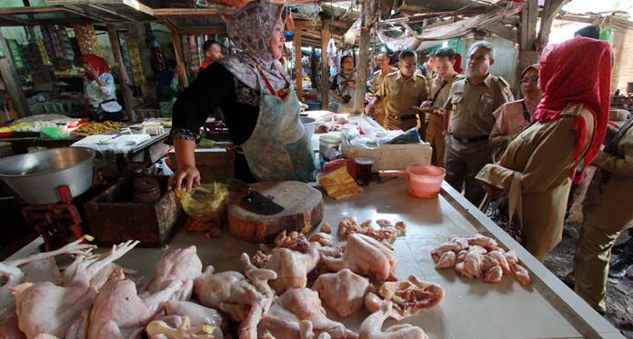 Harga Daging Ayam Merangkak Naik