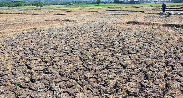 Puncak Kemarau Diprediksi pada Juli dan Agustus