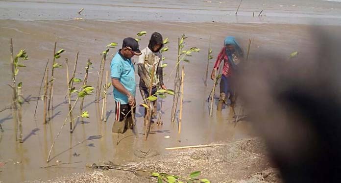 Abrasi Sudah 27 Tahun, Puluhan Hektare Tambak Jadi Lautan