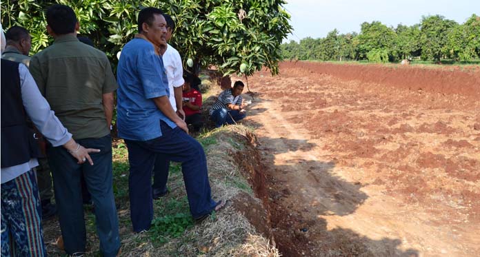 Rekomendasi untuk Cetak Sawah, Praktiknya Jadi Lokasi Galian