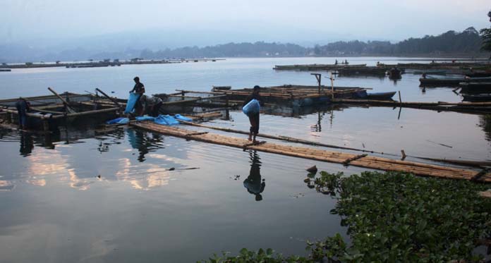 Bupati Acep Segera Bentuk Tim, Tangani Pencemaran Waduk Darma