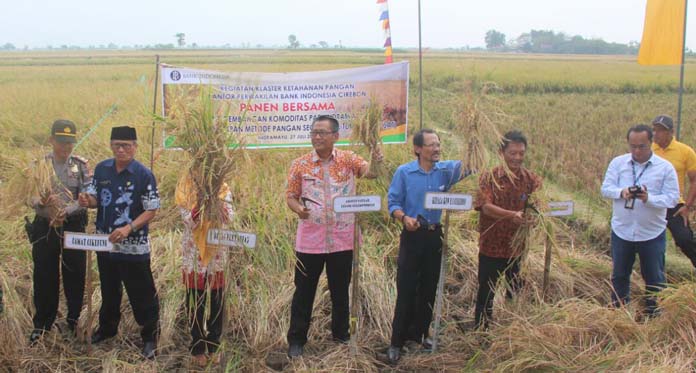 Bank Indonesia Bantu Proses Pemasaran Beras