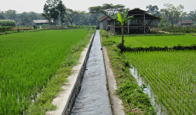 Dinas Pertanian Jamin Kebutuhan Air Aman Selama Kemarau