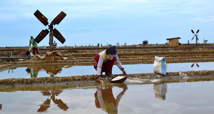 Cuaca Tak Menentu, Petani Garam Gulung Tikar