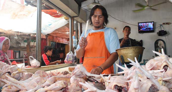 Jelang Idul Adha, Harga Daging Ayam Turun, Sapi Lokal Naik