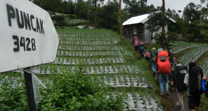 Selama Agustus, Target 2000 Pendaki ke Gunung Slamet