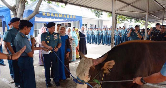 Pangarmabar Serah Hewan Kurban di Mako Koarmabar